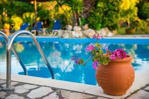 a vase with flowers sitting next to a swimming pool at Villa Swan in Lefkada Town