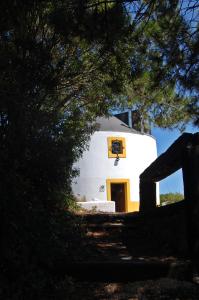 a white building with a door and a tree at Moinho da Senta in Rio Maior