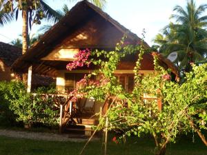 una casa con flores rosas delante de ella en MADERA en Djamandjary