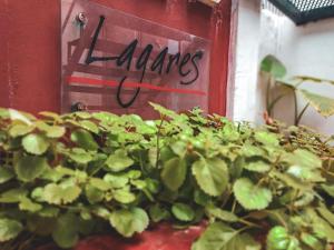 a plant in front of a red door with the word lanes at Hostel Lagares in Mendoza