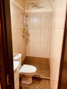 a small bathroom with a toilet and a shower at Eroilor Apartment in Cluj-Napoca