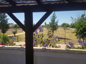 Vonkajšia záhrada v ubytovaní Lince Casa Rural