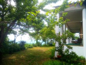 a house with a yard in front of it at Старый дом! in Chakvi