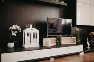 Et tv og/eller underholdning på ROSE GARDEN