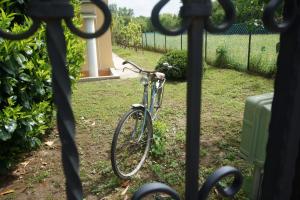 Jazda na bicykli v okolí ubytovania Attila Vendégház