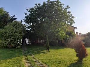 Zahrada ubytování Agriturismo Trebis
