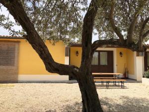 a picnic table and a tree in front of a house at L'uliveto sul mare - Libeccio in Fontane Bianche