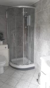 a shower with a glass door in a bathroom at The Draen Bed and Breakfast in Brecon