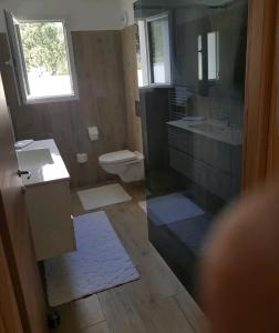 La salle de bains est pourvue de toilettes, d'un lavabo et d'une douche. dans l'établissement Appartement Confortable, à Biguglia