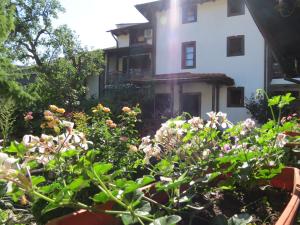 Oazis Guesthouse في Lovech: حديقة فيها ورد امام مبنى