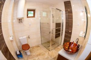 a bathroom with a shower with a toilet and a sink at Noclegi u Bartka i Magdy in Solina +31 photos