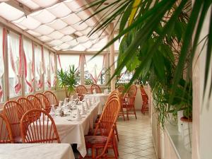 a dining room with tables and chairs and plants at Hotel Etschquelle in Resia