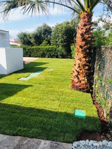 A garden outside Villa sul mare Rosa Marina