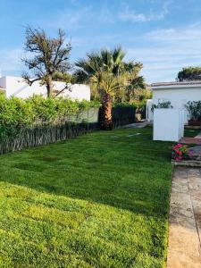A garden outside Villa sul mare Rosa Marina