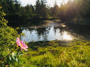 The Happy Bell Tent