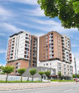 Gallery image of Mediterranean Style Apartment in Timişoara