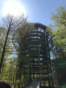 a tall tower in the middle of a forest at Ostseeblick Rügen in Binz