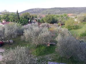 Príroda v okolí apartmánu