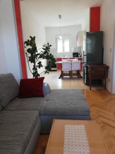 Televízia a/alebo spoločenská miestnosť v ubytovaní Spacious family apartment with parking in the shade and barbecue house