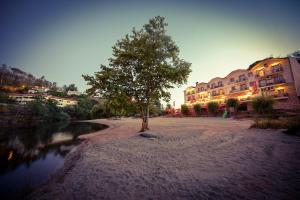 a tree in the middle of a river with buildings at Hotel Beira Dão in São Gemil