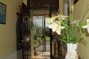 um vaso com flores brancas na frente de uma porta em Marguerite's B&B em Skibbereen
