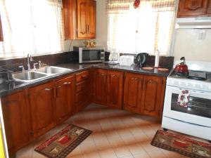 una cucina con armadi in legno, lavandino e piano cottura di Prime Ocean View Vacation Villa a Plaisance