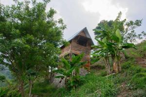 Ch'i Bocól Community Hostel外面的花园