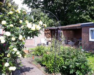 a garden with roses growing in a yard at Hanover Fair Rooms in Hannover