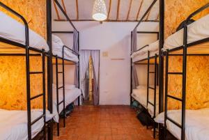 a group of bunk beds in a room at Botanico Hostel in Bogotá