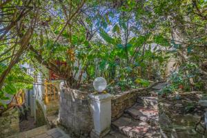 a garden with trees and a stone wall at Botanico Hostel in Bogotá