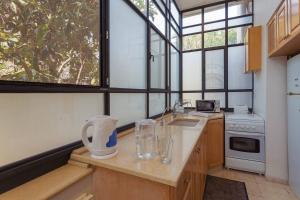 a kitchen with a counter with a sink and windows at Colony Suites - Emek Refaim in Jerusalem