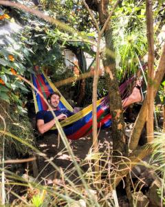 a man laying in a hammock in a forest at Botanico Hostel in Bogotá