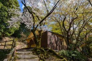 a tree in front of a building with stairs at Villa Hamorebi in Miyajima