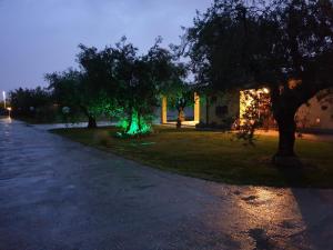 حديقة خارج L'Antico Vigneto