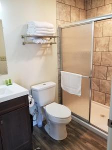 a bathroom with a toilet and a shower at Sunset Cottage Motel Rooms in Ligonier