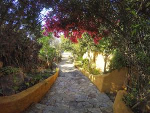 A garden outside Casa MìMì