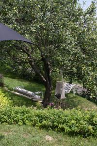 Fotografie z fotogalerie ubytování Dindina Agriturismo v destinaci Neviglie