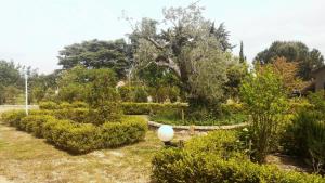 Gallery image of Luna Ridens in Alberese