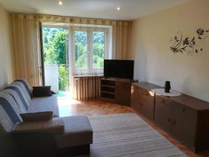 a living room with a couch and a tv at Mieszkanie Solina in Solina