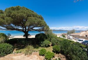 ein Baum am Strand in Strandnähe in der Unterkunft SINFONIA in Saint-Tropez