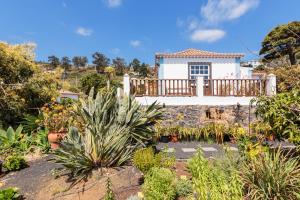 une maison au milieu d'un jardin avec des plantes dans l'établissement Casa Rural Fidel, à Breña