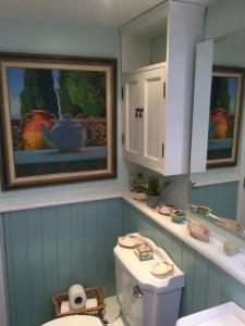 a bathroom with a toilet and a painting on the wall at Jasmine Cottage in Lerryn