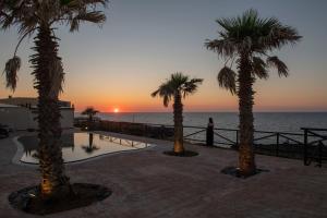 un gruppo di palme vicino all'oceano al tramonto di Hotel Bue Marino a Pantelleria