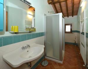 阿夏诺Agriturismo Mocine的带水槽和淋浴的浴室