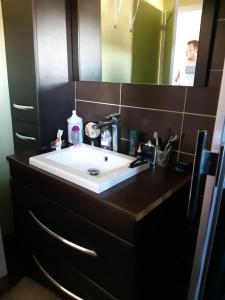 eine Badezimmertheke mit einem Waschbecken und einem Spiegel in der Unterkunft MONTVILLE sweet home ... wifi in Montville