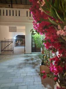 a bunch of red flowers in a building at Akti Rooms And Studios in Livadi