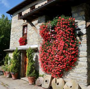 Budova, kde se the country house nachází