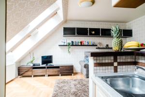 Kuchyňa alebo kuchynka v ubytovaní Hollo Apartment - PRIVATE GARAGE - A/C