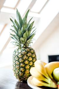 Jedlo v apartmáne alebo blízkom okolí
