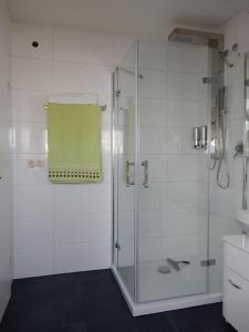 W łazience znajduje się prysznic ze szklanymi drzwiami. w obiekcie Ferienwohnung Apfelstübchen w mieście Friedrichshafen